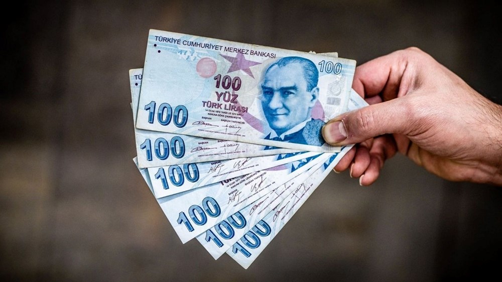 Increasing Trust in the Turkish Lira