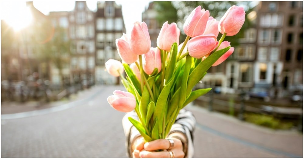 The Modern Day Tulip Mania in Istanbul